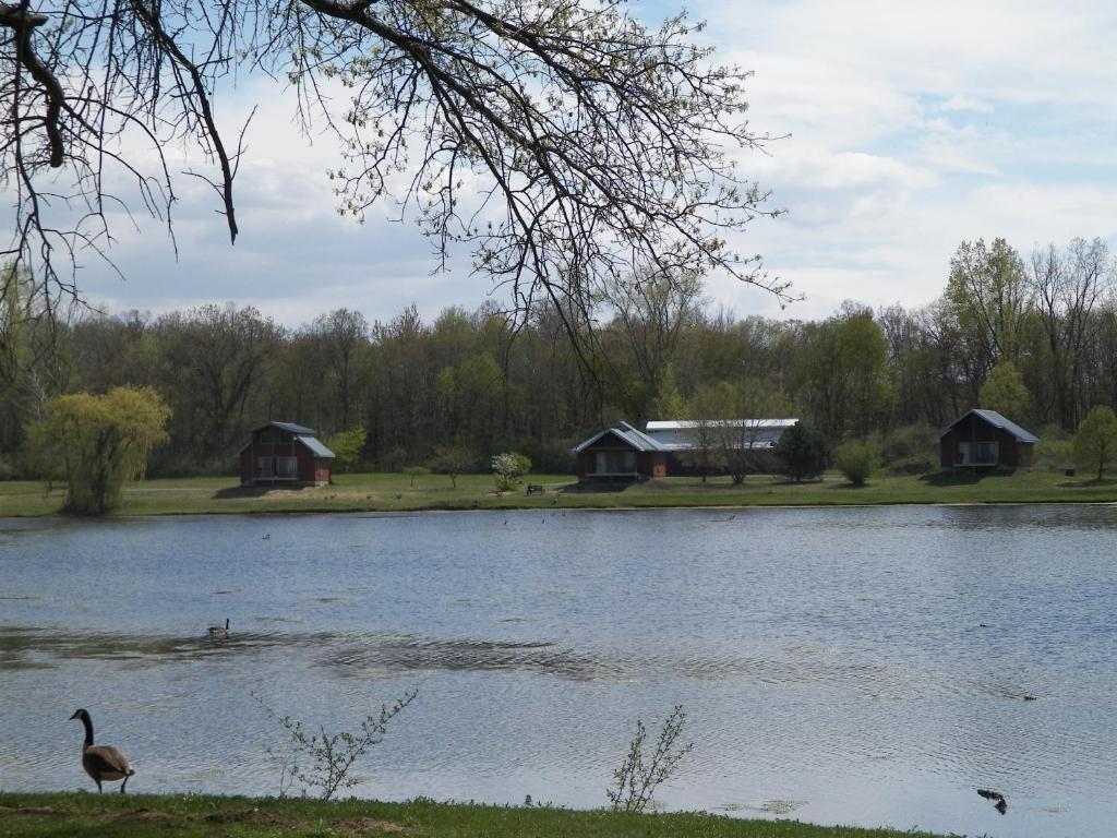 Serenity Springs - Michigan City Hotel Springfield Eksteriør billede